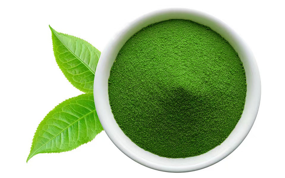 mondomatcha Tè Verde Matcha Bio Giapponese, Raccolto a Mano, Macinato a  Pietra - 30g Organic : : Alimentari e cura della casa